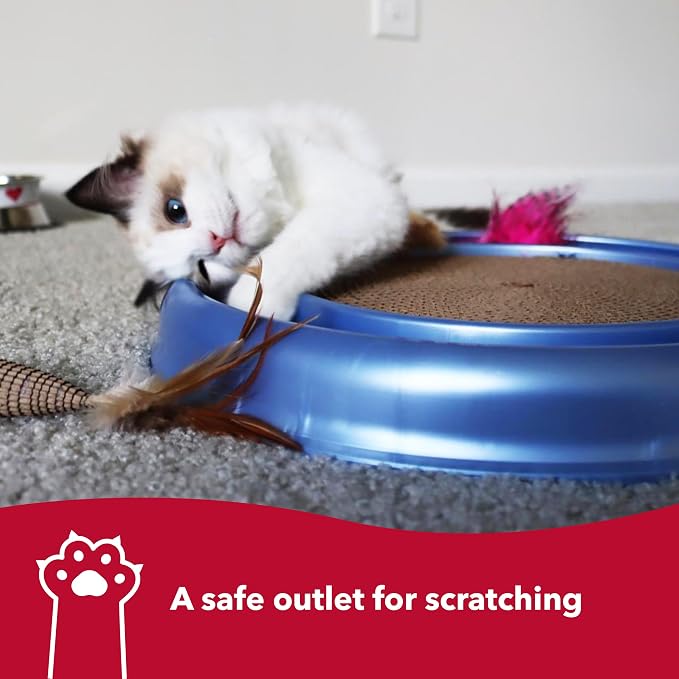 Coastal Pet Turbo Scratcher Cat Toy - Image 6