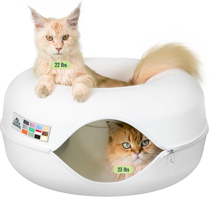 Cattasaurus Peekaboo Cat Cave Donut by Cattasaurus