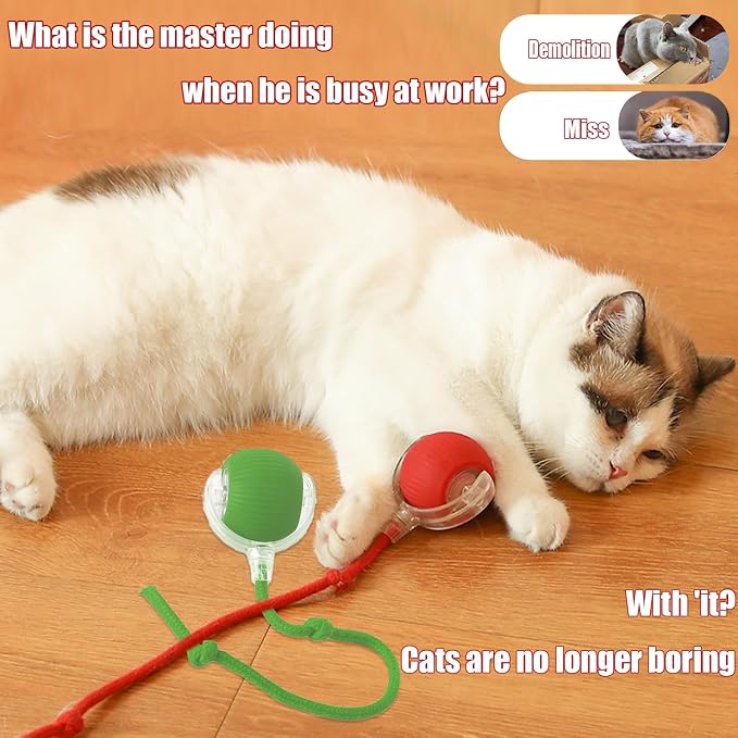 2025 New Interactive Dog Cat Toys Balls, Interactive Rolling Ball Cat Toy - Image 4