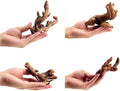 Small Natural Driftwood for Aquarium Styling Carefully Selected Natural by YZHZOM