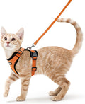 rabbitgoo Cat Harness and Leash by rabbitgoo