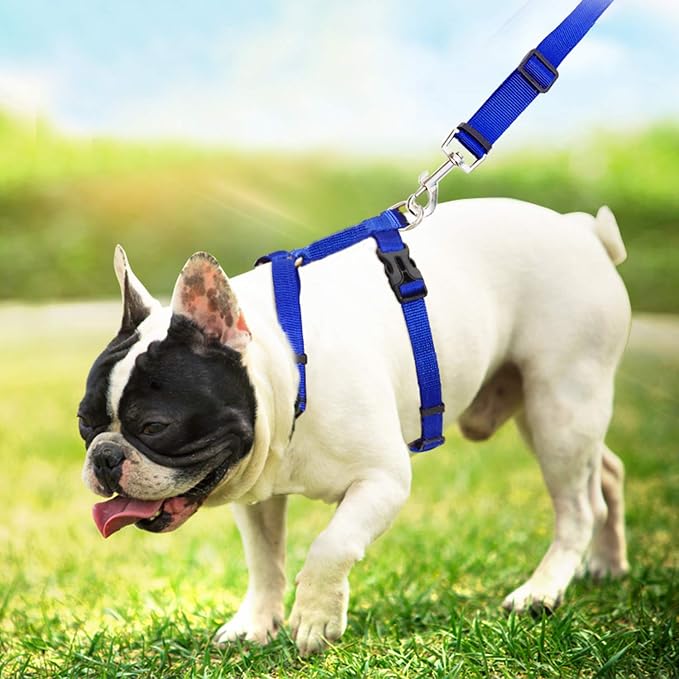 6 Pack Adjustable Cat Leash Harness Leash, Bunny Harness Leash - Image 4