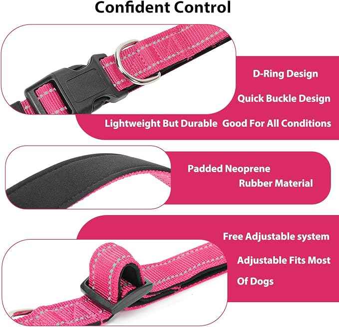 Reflective Dog Collar Padded