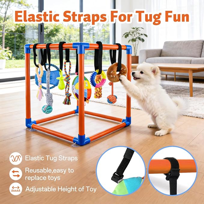 Puppy Play Gym for Small Dogs - Image 5