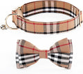 Yizepet Dog Collar with Bow Tie- Adjustable pet Collar by Yizepet