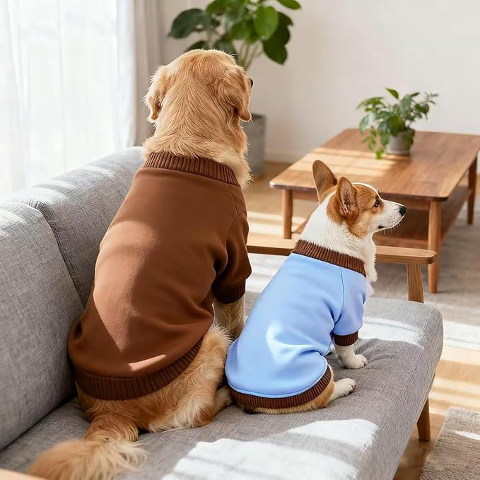 Custom Dog Hoodie, Personalized Sweatshirt - Image 6