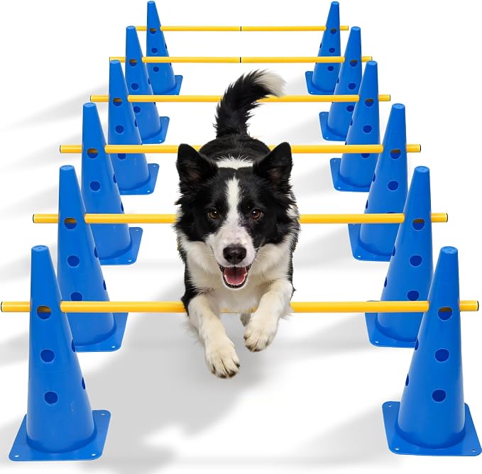Wdmiya 18.9" Dog Agility Training Hurdle Cone Set, Dog Agility Course Backyard by Wdmiya