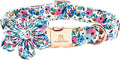 Lionheart glory Dog Collar Flowers Collar Floral Dog Collar by LionheartGlory