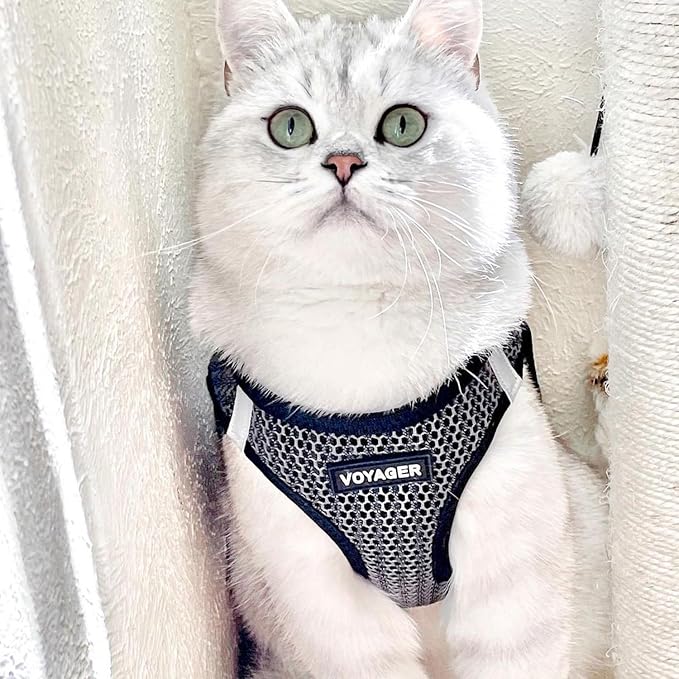 Best Pet Supplies Voyager Step-in Air All Weather Mesh Harness and Reflective - Image 7