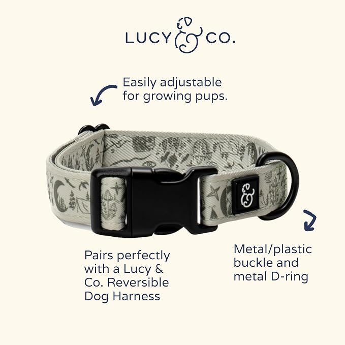 Lucy & Co. Dog Collar - Image 3