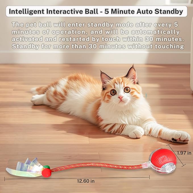New Upgraded Cat Ball Toy - Image 3