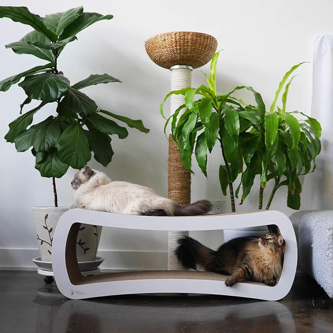 PetFusion Jumbo Cat Scratcher Lounge, and Hide100% Recyclable Cardboard Cat - Image 6