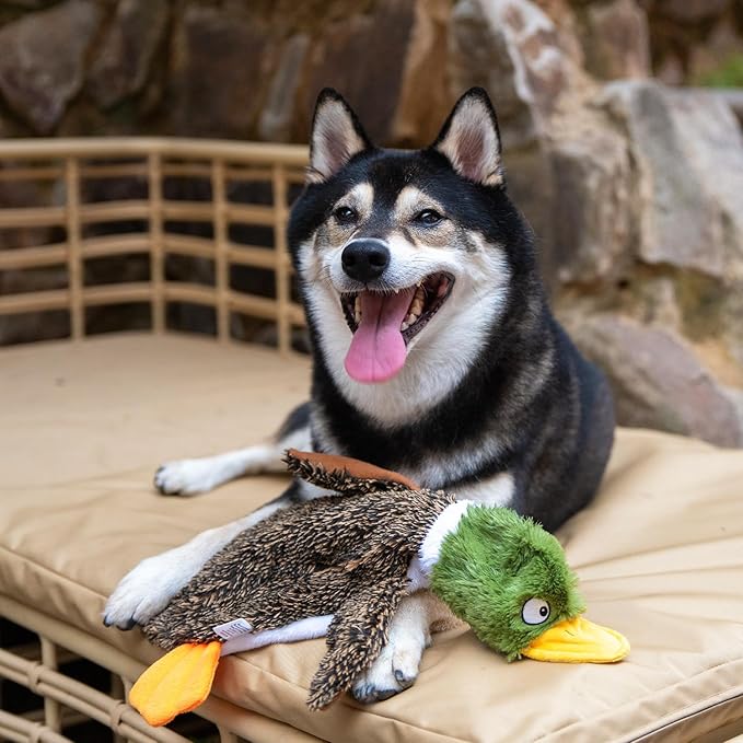 Best Pet Supplies Squeaky Dog Toys - Image 7