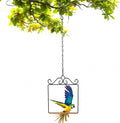Hummingbird Swings and Perches Hummingbird Perch Humming Bird Swing by Unknown