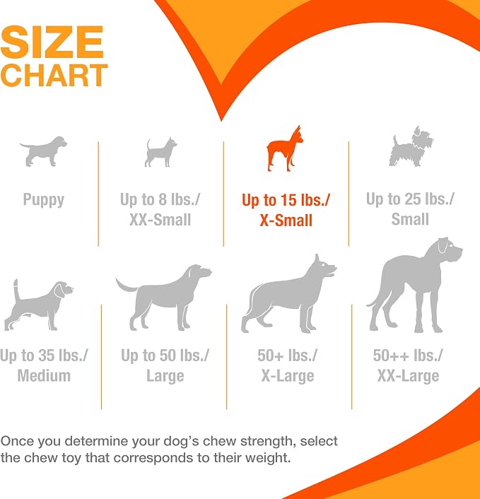 Nylabone Textured Dental Bone Flexi Chew Toy - Image 5