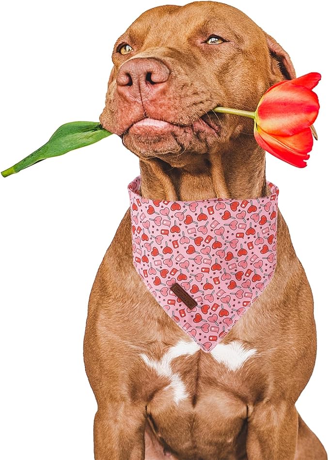 Valentine Dog Bandana, Cotton Pet Kerchief - Image 2