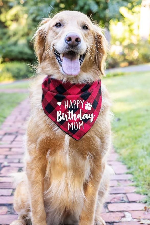 Ptzizi Funny Red Plaid Happy Birthday Mom Dog Printed Triangle Bandana - Image 2