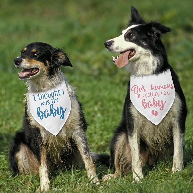 2 Packs Baby Announcement Dog Bandana Our Humans are Getting Us a Baby Gender - Image 6