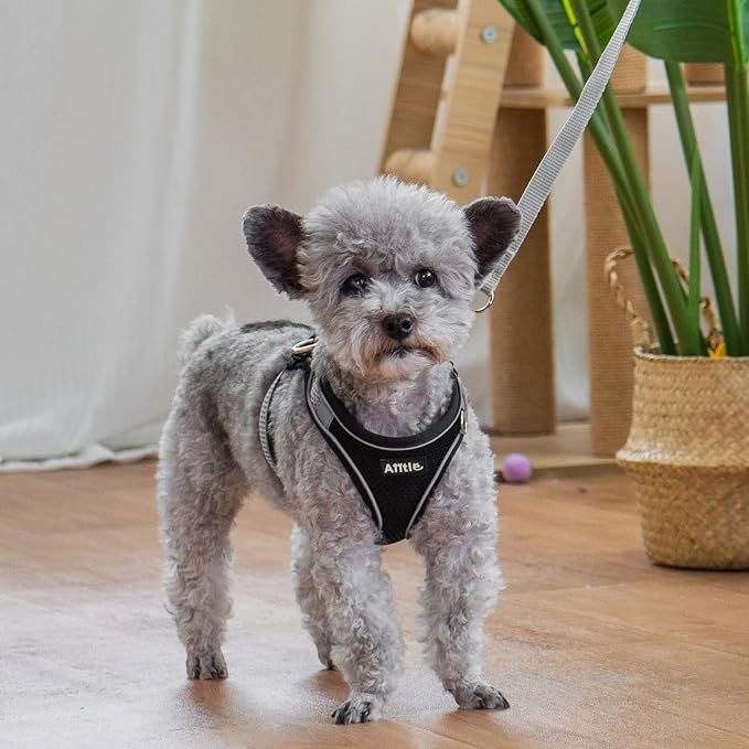 AIITLE No Pull Dog Harness and Leash Set, Step in Adjustable Dog Harness - Image 3