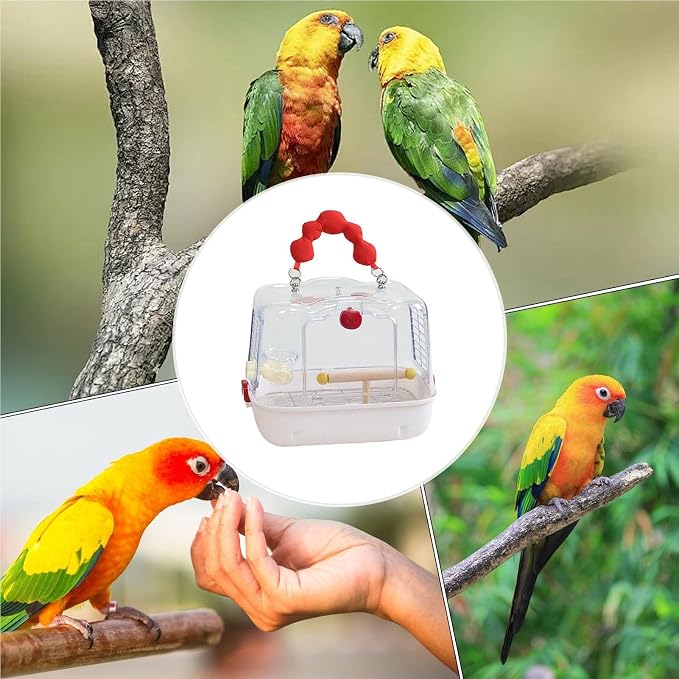 Bird Travel Carrier, Transparent Bird Carry Bag, Lightweight Sturdy Travel Tote - Image 5