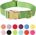 Nylon Dog Collar by Babolepet