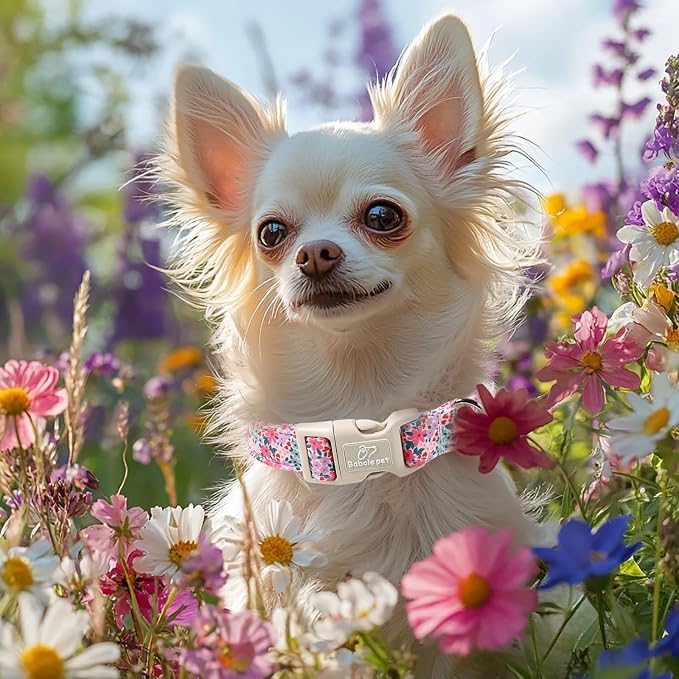 Floral Dog Collar, Cute Girl Dog Collars - Image 7