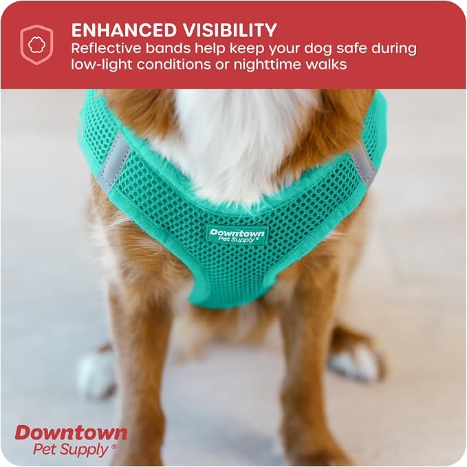 Downtown Pet Supply Step-in Dog Harness – No Pull, Adjustable Padded Mesh - Image 7