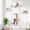 5-in-1 Cat Wall Shelves, Perch & Lounge by ZLAFM