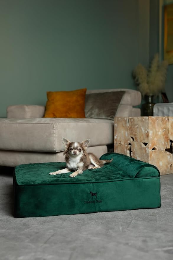NOAH & PAW Dog Bed, Orthopedic Dog Beds - Image 3