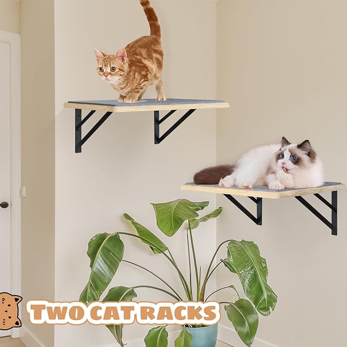 Burlywood Cat Furniture Indoor Set of 2: Wood Shelves - Image 4
