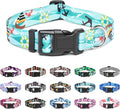 Mercano Adjustable Dog Collar by Unknown