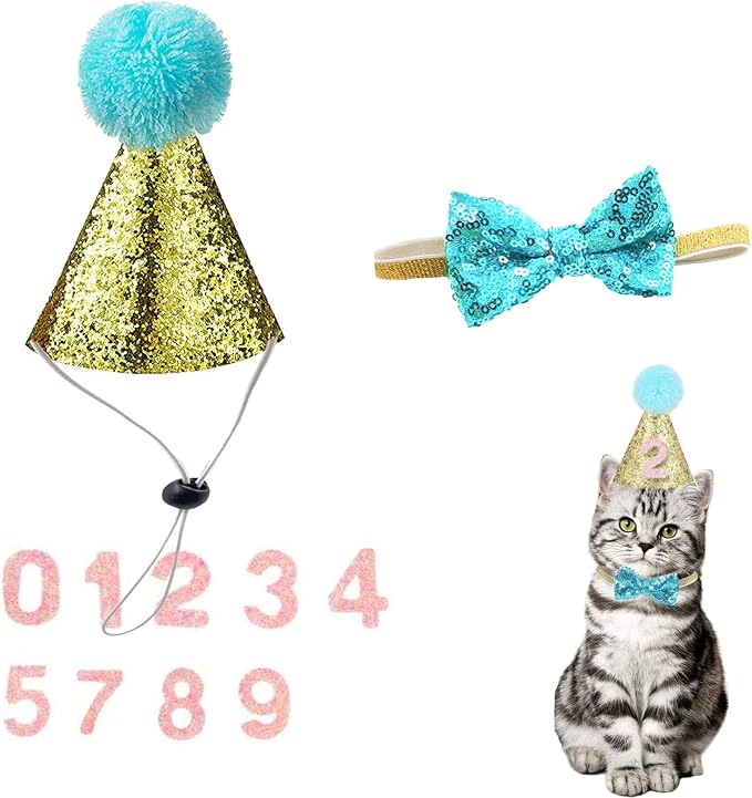 Christmas Pet Party Jazz Hat and Blingbling Bow Tie Breakaway Collar Set by Arogheiz