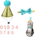 Christmas Pet Party Jazz Hat and Blingbling Bow Tie Breakaway Collar Set by Arogheiz