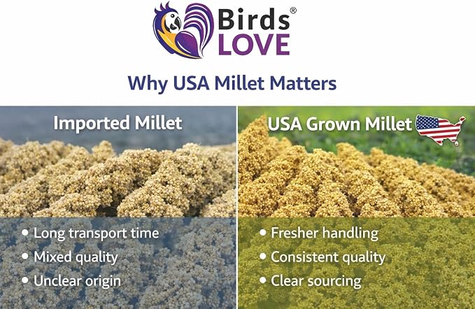 1lb Millet Tips & Tails for Birds - Image 7