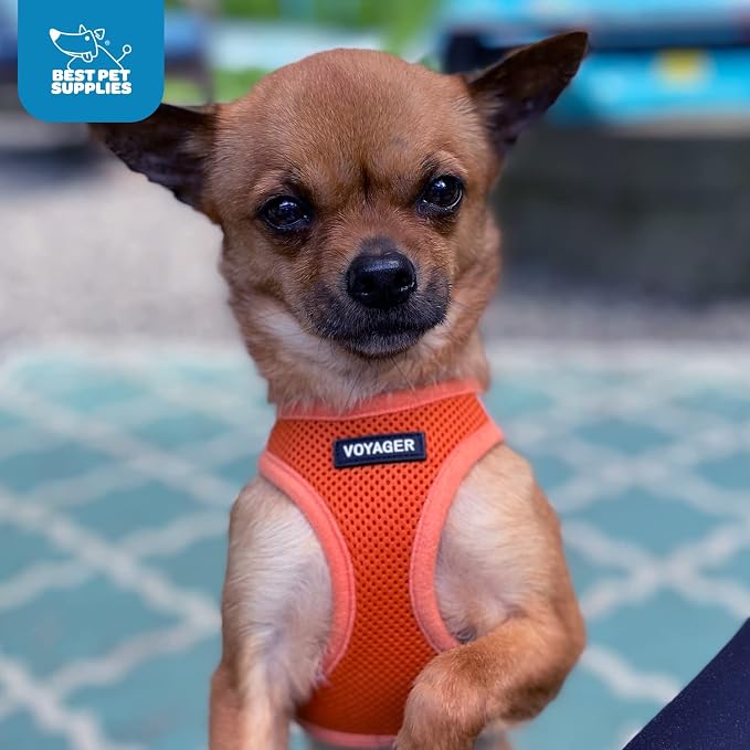 Best Pet Supplies Voyager Step-in Air Harness - Image 10