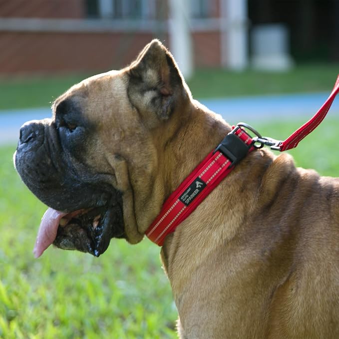 EXCELLENT ELITE SPANKER Reflective Dog Collar Classic Soft Padded Breathable - Image 6