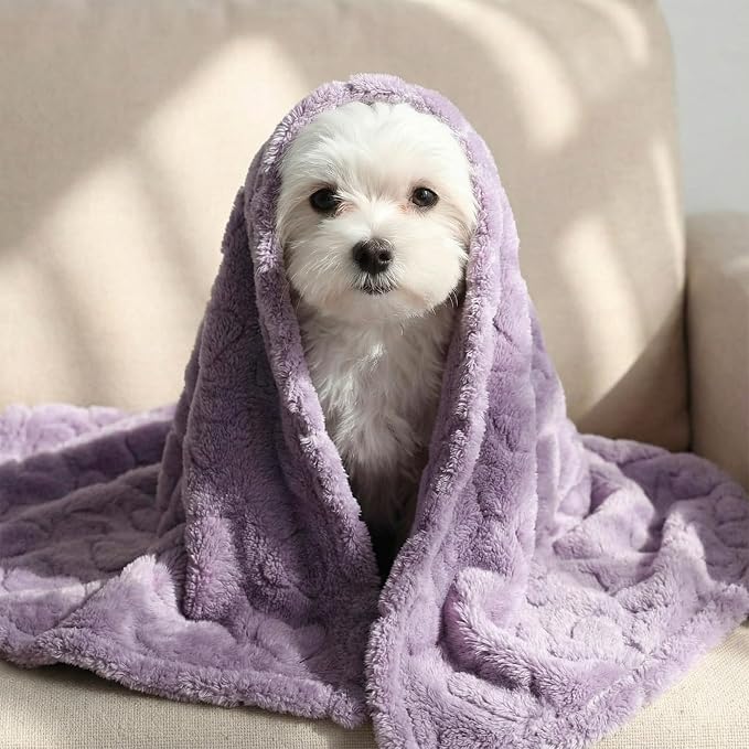 Tegeme 3 Pcs Small Dog Blanket 280 GSM Washable Pet Bed Cover Soft Fluffy Puppy - Image 5