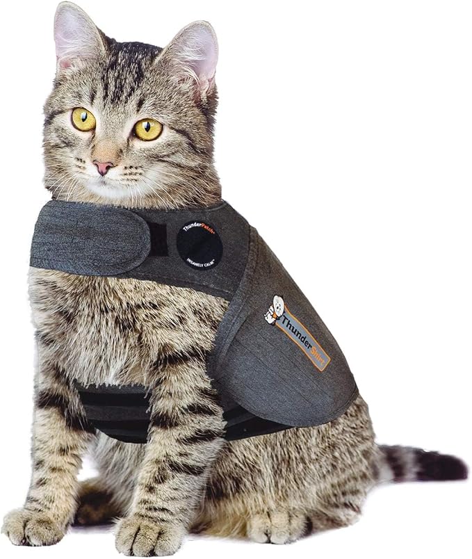 ThunderShirt Classic Cat Anxiety Jacket, Solid Gray by ThunderShirt