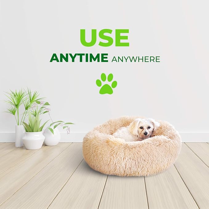 Whiskers & Friends Cat Bed Dog, Cat Beds - Image 6