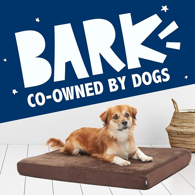 Barkbox Orthopedic Dog Bed - Image 7