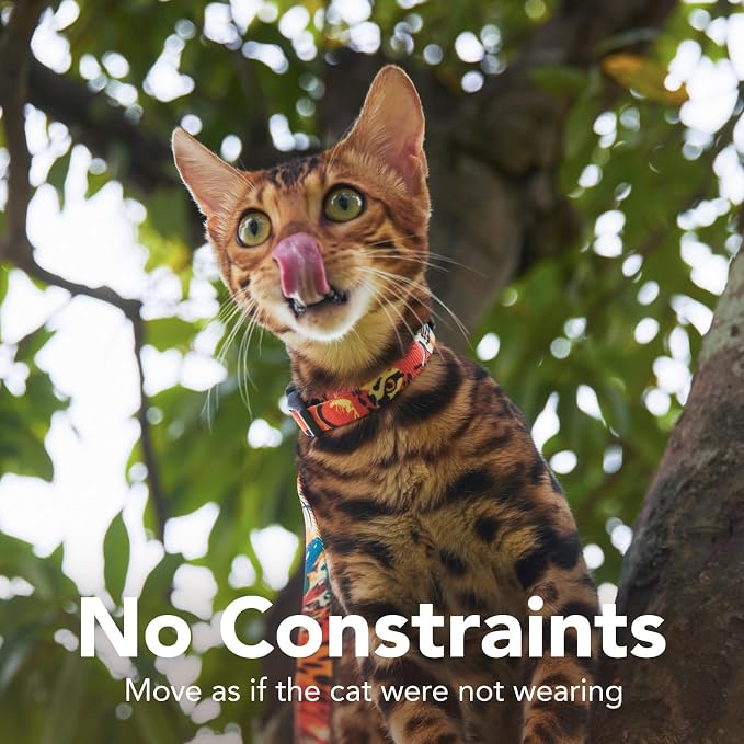 Cat Harness and Leash Set - Image 5