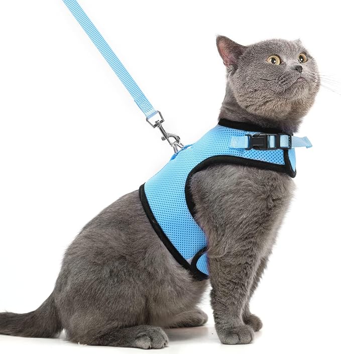 PUPTECK Soft Mesh Cat Vest Harness and Leash Set Puppy Padded Pet Harnesses by PUPTECK