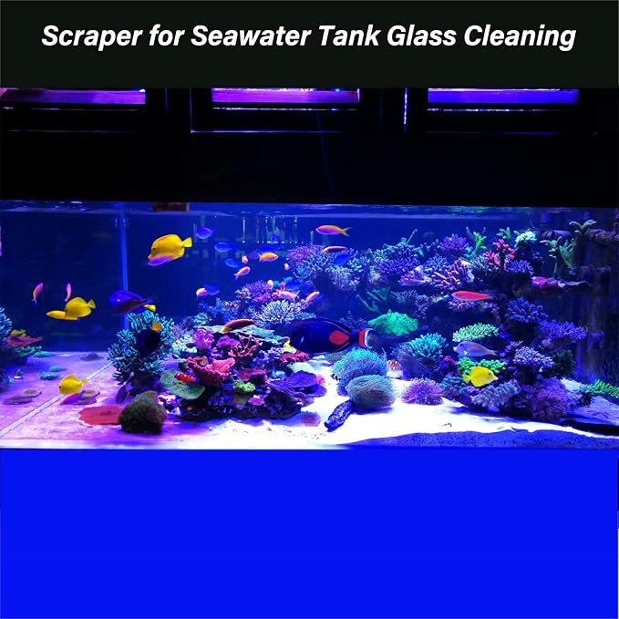 Algae Scraper for Glass Aquarium, Aquarium Razor Scraper - Image 4