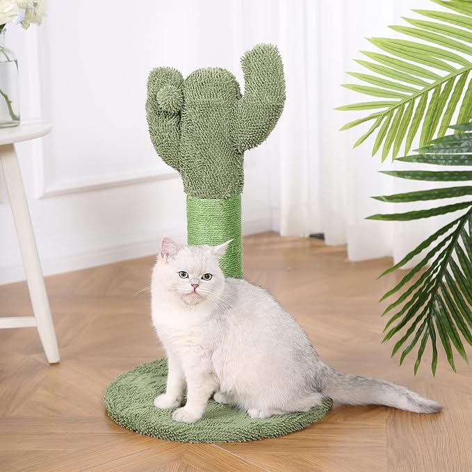 Amazon Basics Cat Scratching Post, Indoor Cactus - Image 8