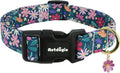Dog Collar for Large Dogs, Spring Dark Green Dog Collars by Unknown