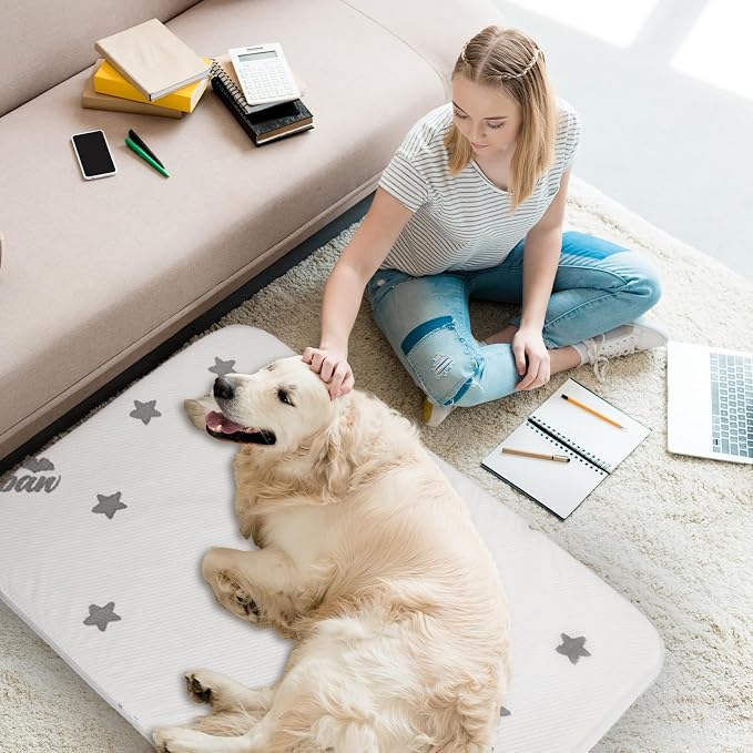 Biloban Waterproof Dog Beds for Dogs, Washable Mat Pad, Memory Foam Dog Beds & - Image 3