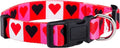 Native Pup Valentine’s Dog Collar- Valentines Day Pet Collars- Valentine Girly by NativePup