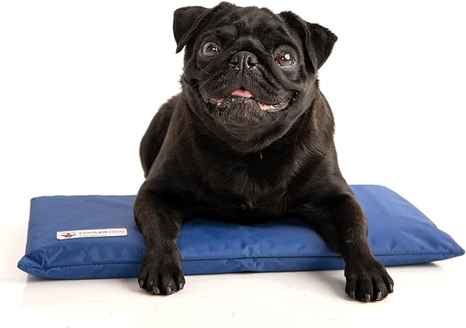 CoolerDog Hydro Cooling Mini Mat by CoolerDog
