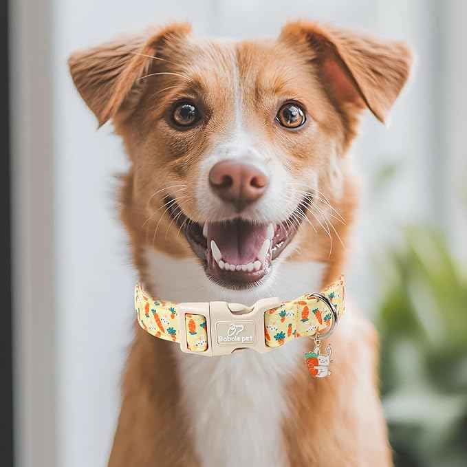 Easter Dog Collar for Small Dogs