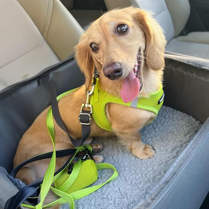 Best Pet Supplies Voyager Step-in Air All Weather Mesh Harness and Reflective - Image 9